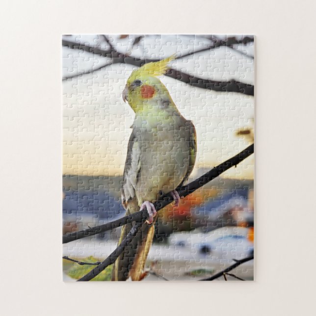 Cockatielen profilerar fotograferar pussel (Vertikal)