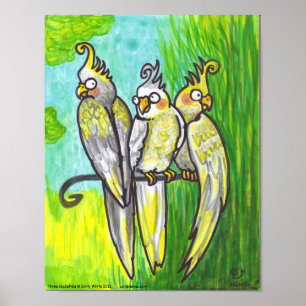 Cockatiels 3 Tecknader Birds lowbrow rotting art p Poster