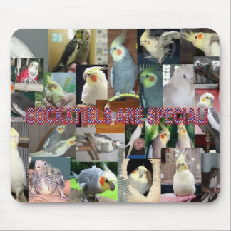 Cockatiels är speciella musmatta