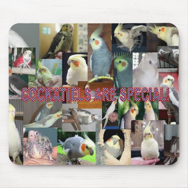 Cockatiels är speciella musmatta (Framsidan)