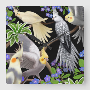 Cockatiels glömmer in att jag den Nots väggen ta Fyrkantig Klocka