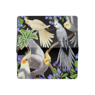 Cockatiels glömmer in att jag inte