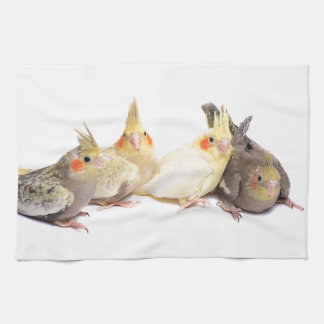 Cockatiels Kökshandduk