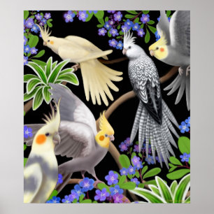 Cockatiels och glömmer mig den Nots affischen Poster