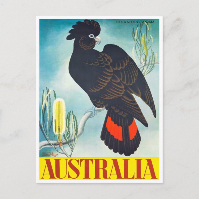 Cockatoo Australia vintage resor Vykort (Framsida)