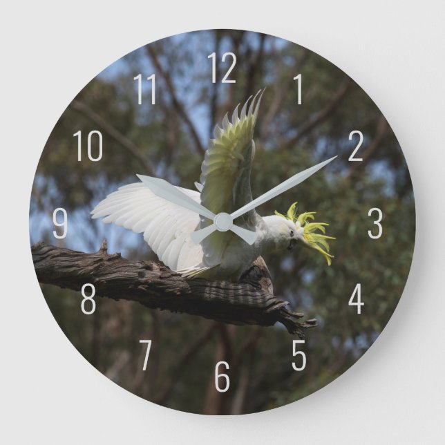Cockatoo Bird Parrot Fly Vingar Avian Australien Stor Klocka (Framsida)