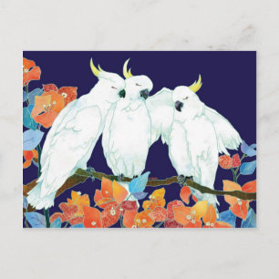 Cockatoo Friends Vykort