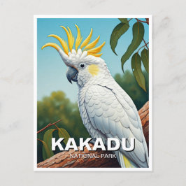 Cockatoo i Kakadu nationalpark Australien Vykort