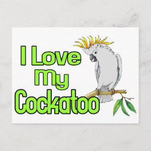 Cockatoo Kärlek Vykort