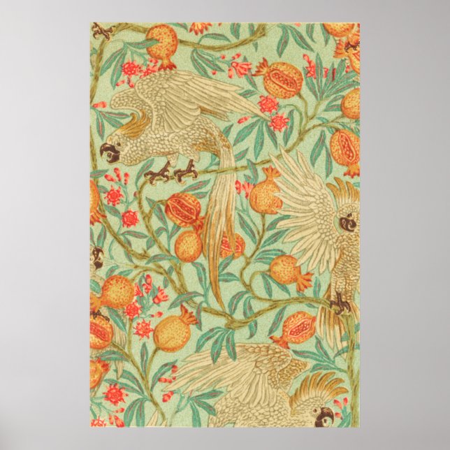 Cockatoo och granatantik utskrift poster (Framsidan)