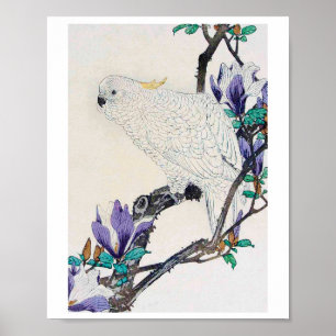 Cockatoo och Lily Magnolia, Imao Keinen Poster