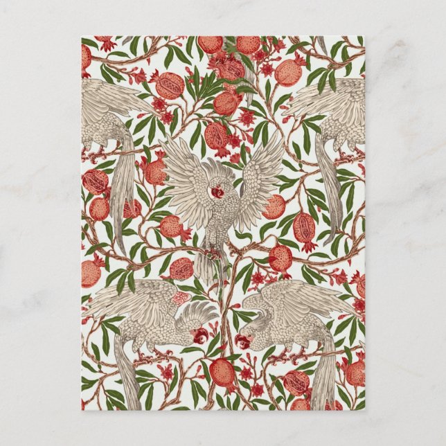 Cockatoo & Pomegranate by Walter Crane Art Nouveau Vykort (Framsida)