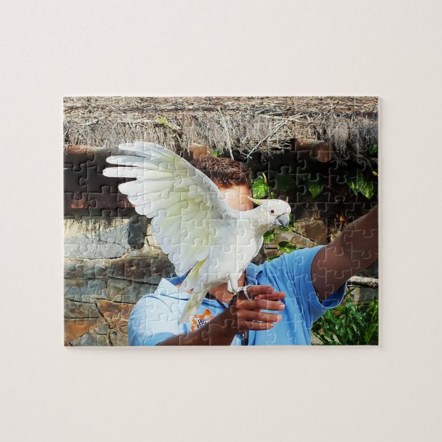 Cockatoo som visar vinge pussel (Horisontell)