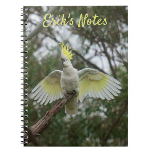 Cockatoo Spreading Vingar Bird Australia Anteckningsbok