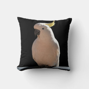 Cockatoo vid Sundial Apartments Cushion Kudde