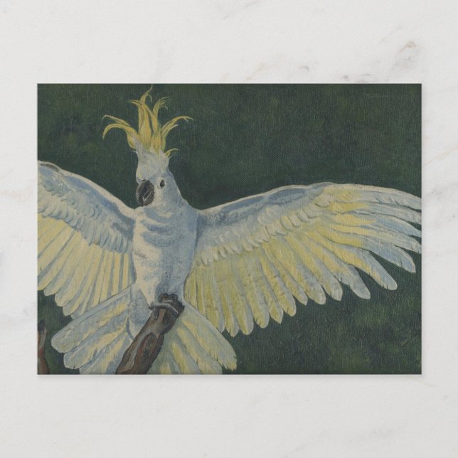 cockatoo vykort (Framsida)