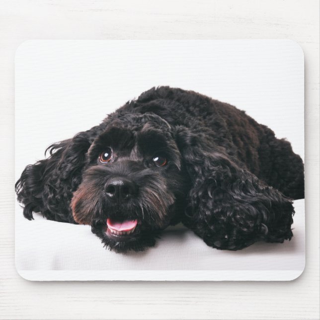 cocker pudel mix puppus moussepad musmatta (Framsidan)