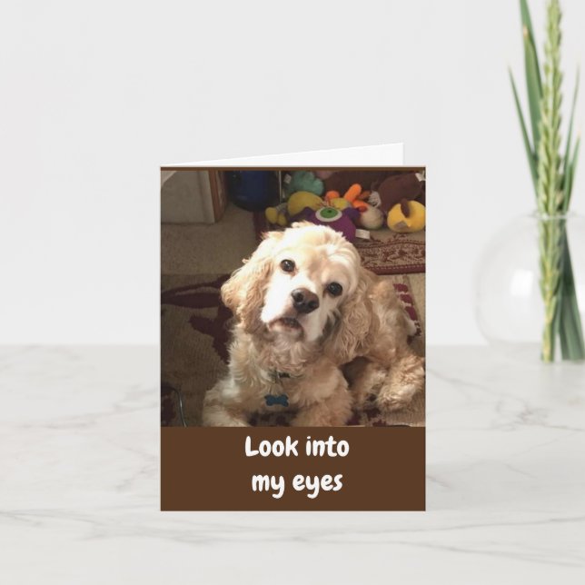 COCKER SAYS *GRATTIS PÅ FÖDELSEDAGEN*-KORT KORT (Framsida)