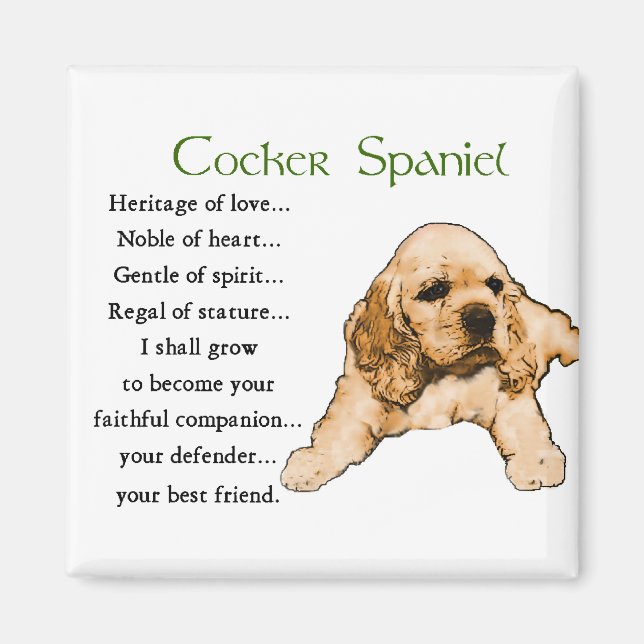 Cocker Spain Älskare Gifts Magnet (Framsidan)