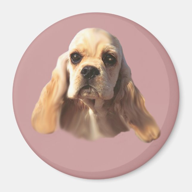 Cocker Spain Blondie Magnet (Framsidan)