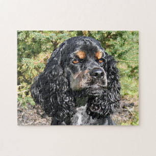 Cocker Spain Close 2 Pussel