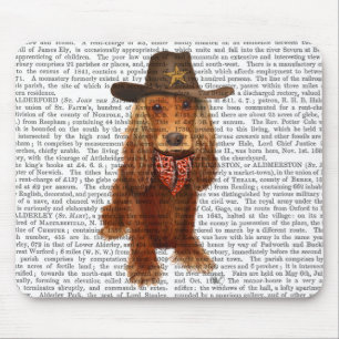 Cocker Spain Cowboy 2 Musmatta