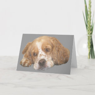 Cocker Spain Freckles Greeting Card Kort