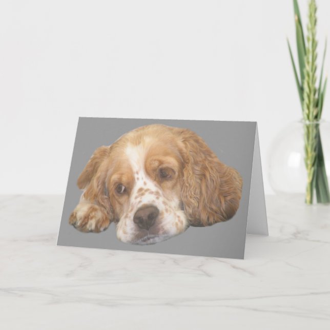 Cocker Spain Freckles Greeting Card Kort (Framsida)