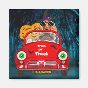 Cocker Spain Hund Driving Car Scary Halloween Magnet