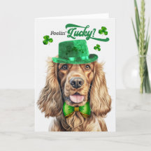 Cocker Spain Hund Feelin' Lucky St patrick's day