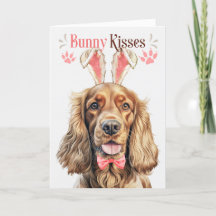 Cocker Spain Hund i Bunny Öron för Påsk