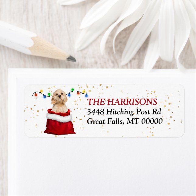 Cocker Spain Hund in Gift Bag Returadress Etikett (Insitu)