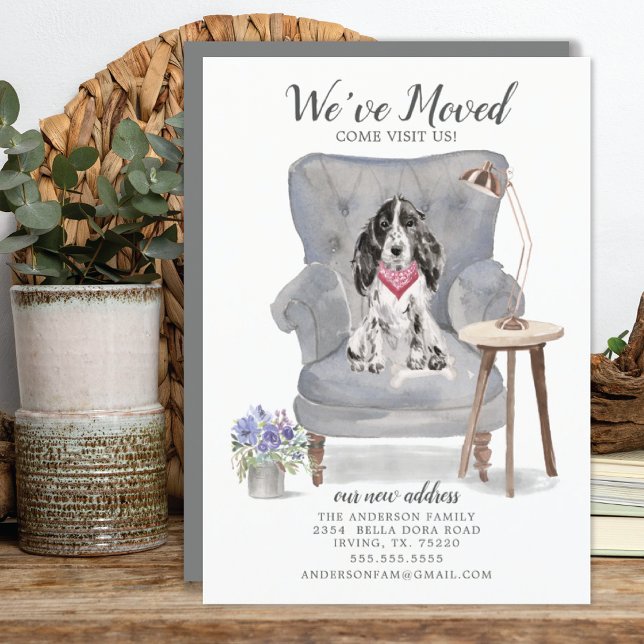 Cocker Spain Hund | Meddelande om Flytta (Skapare uppladdad)