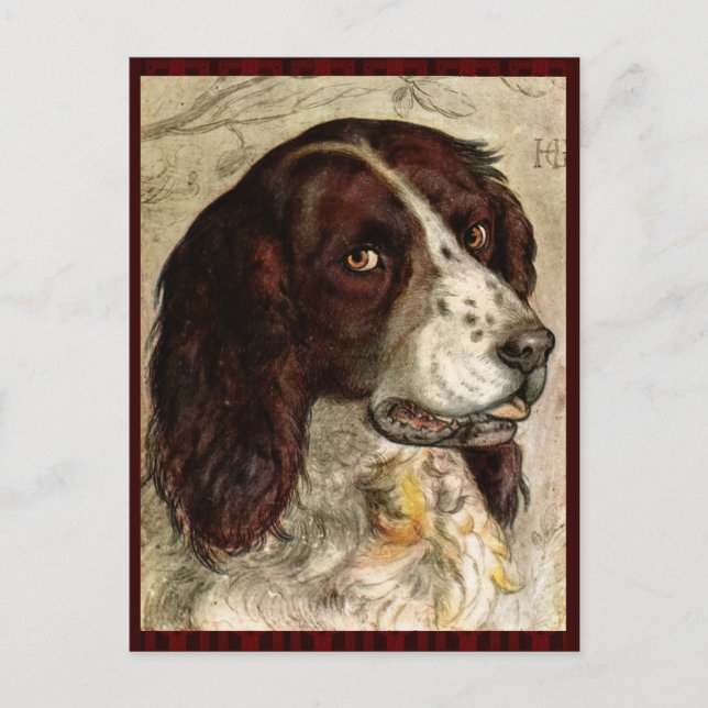 Cocker Spain Hund Print Vykort (Framsida)