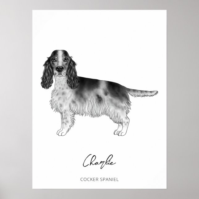 Cocker Spain in Black and White & Anpassningsbar T Poster (Framsidan)