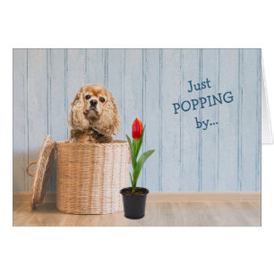 Cocker Spain in Wicker Basket Birthday Card Hälsningskort
