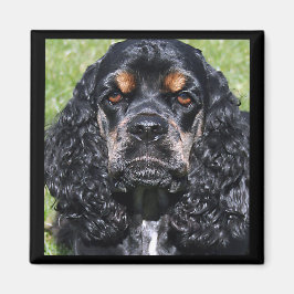 Cocker Spain Magnet