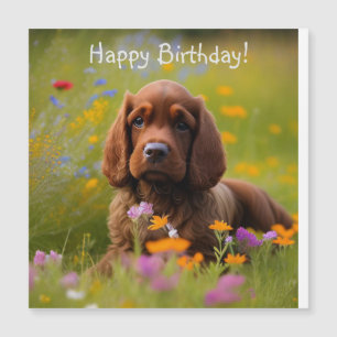 Cocker Spain Magnetic Card