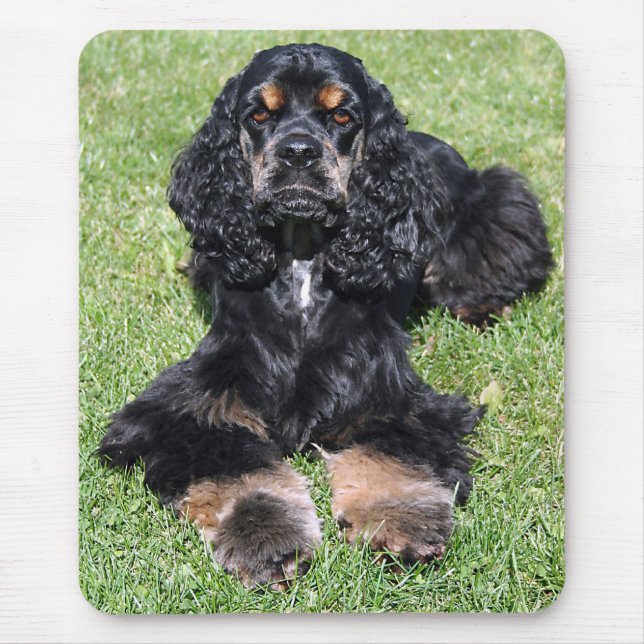 Cocker Spain Photo Mousepad Musmatta (Framsidan)