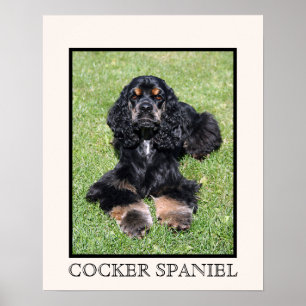 Cocker Spain Print Poster