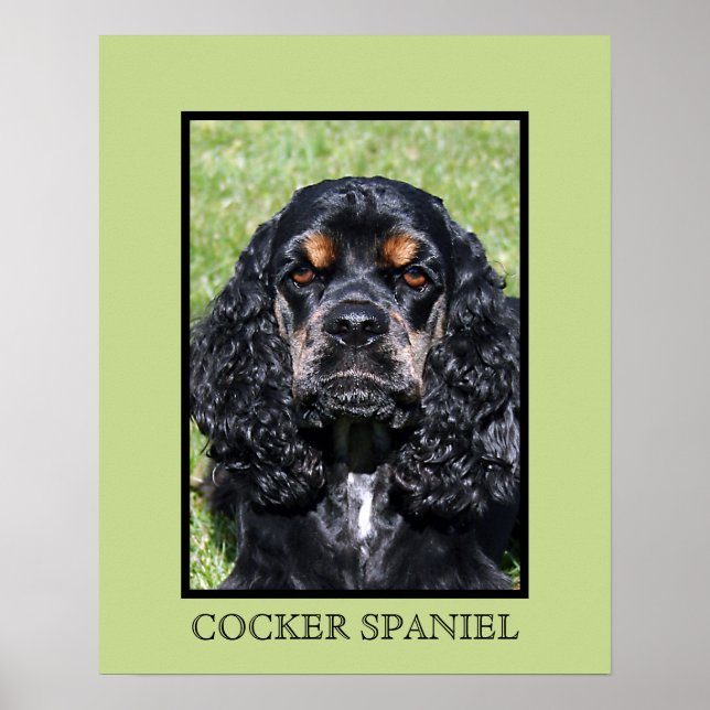 Cocker Spain Print Poster (Framsidan)