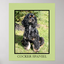 Cocker Spain Print Poster