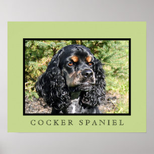 Cocker Spain Print Poster