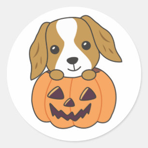 Cocker Spain Pumpkin Cute Hundar Happy halloween C Runt Klistermärke
