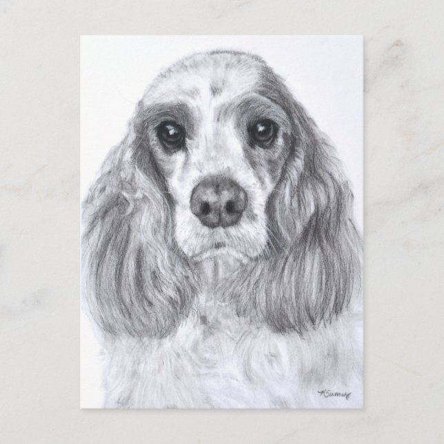 Cocker Spain Red White Art Vykort (Framsida)