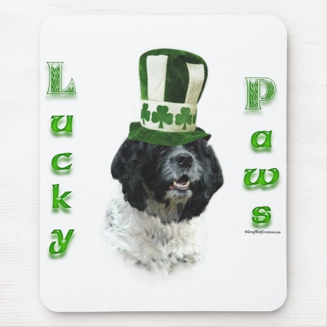 Cocker spanel Lucky Tassar Musmatta (Framsidan)