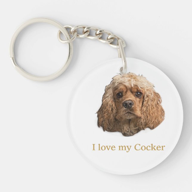 cocker spaniel (Framsidan)