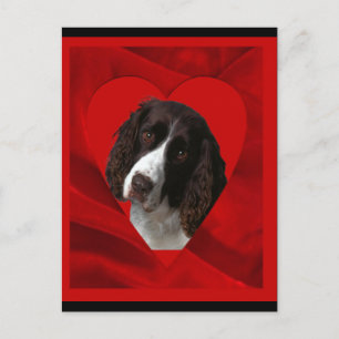 Cocker Spaniel Alla Hjärtans Dag Helg Vykort
