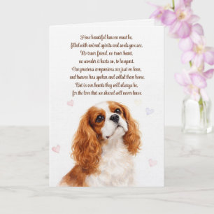 Cocker Spaniel Andlig Dikt Om Hund Sympati Kort