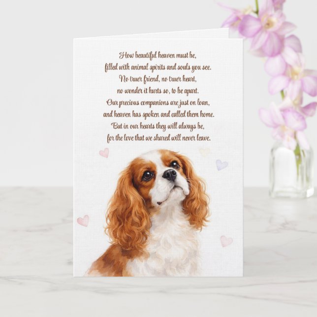 Cocker Spaniel Andlig Dikt Om Hund Sympati Kort (Orkide)